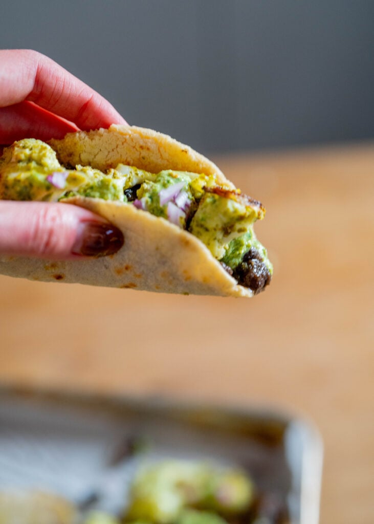 hand holding taco