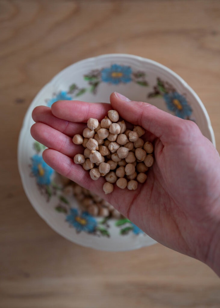 hand holding dried chickpeas