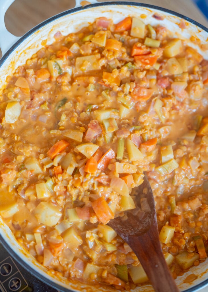 simmering red lentil curry