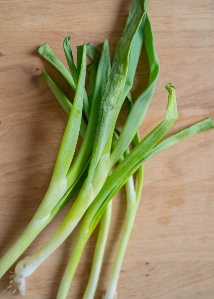 green onions (scallions)