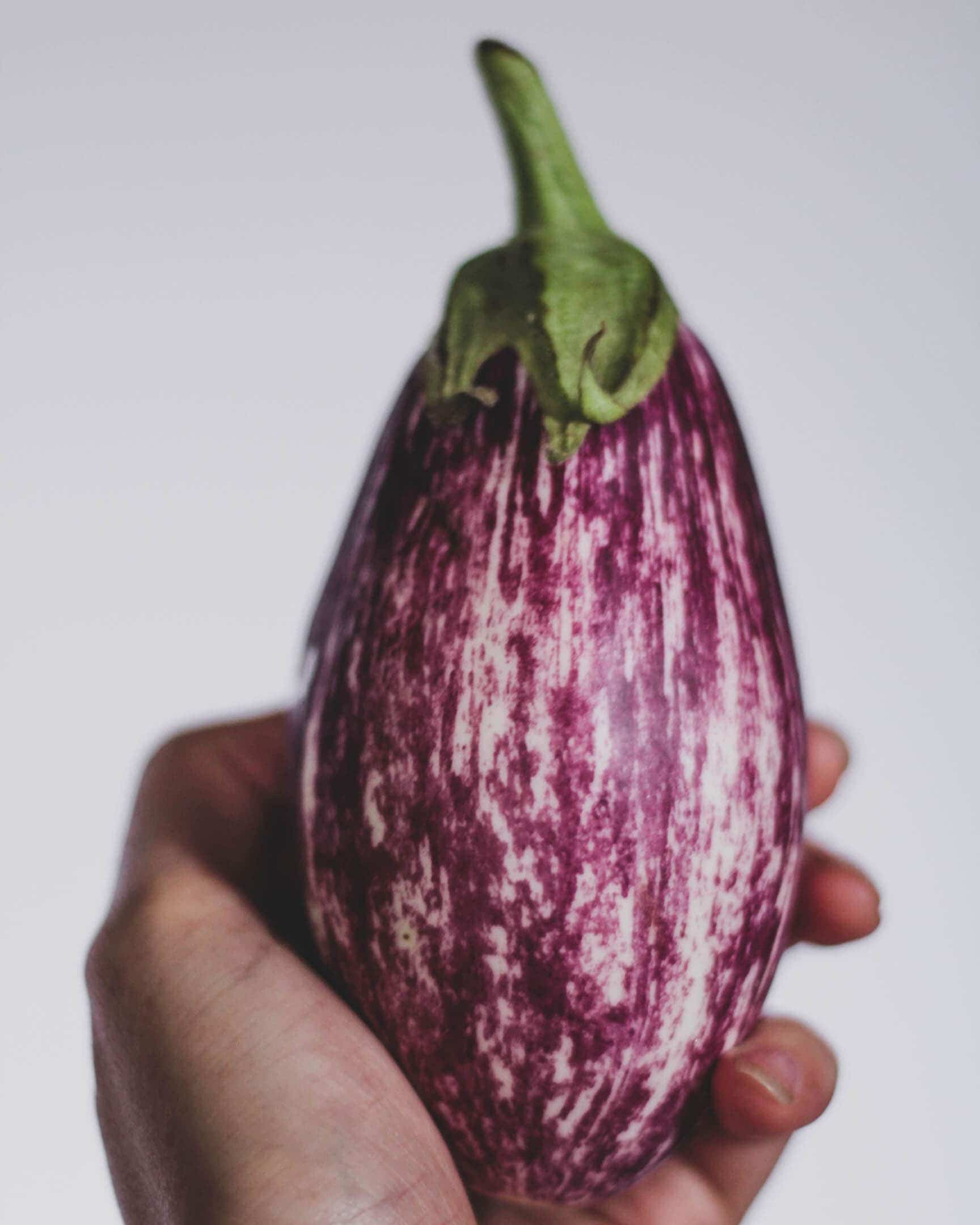 purple eggplant