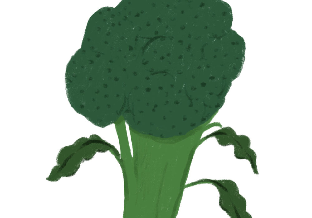 Features Broccoli