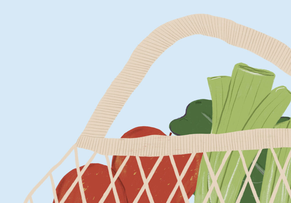 produce in a mesh bag illustration
