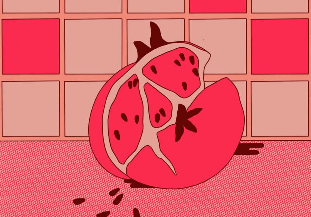 abstract pomegranate illustration