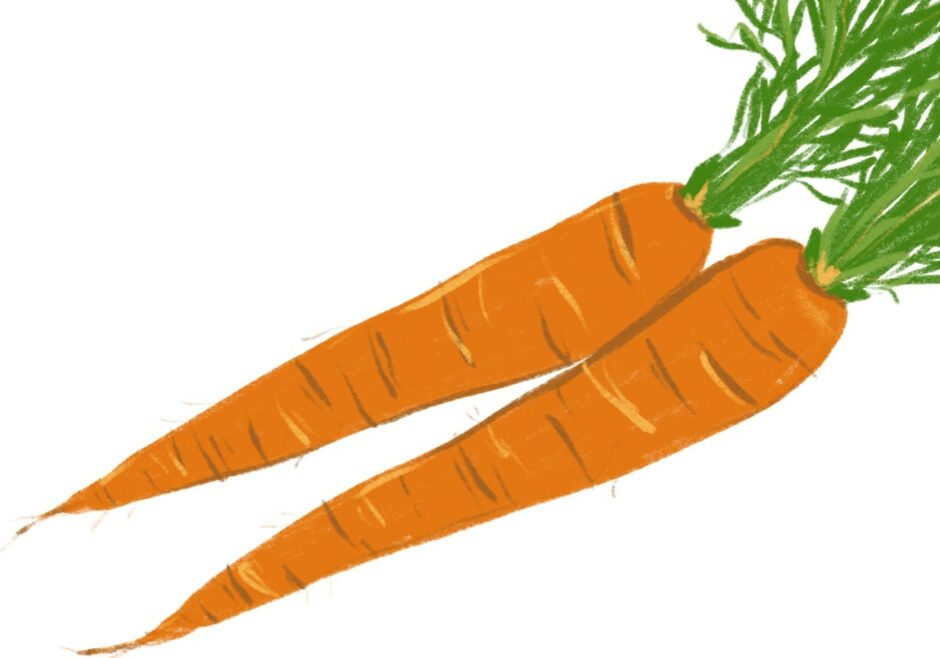 Shop Carrots