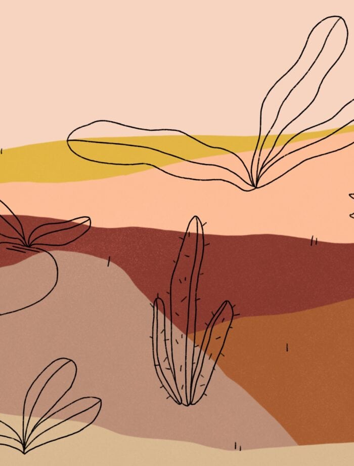 abstract landscape illustration, red palette with line illustrations of plants