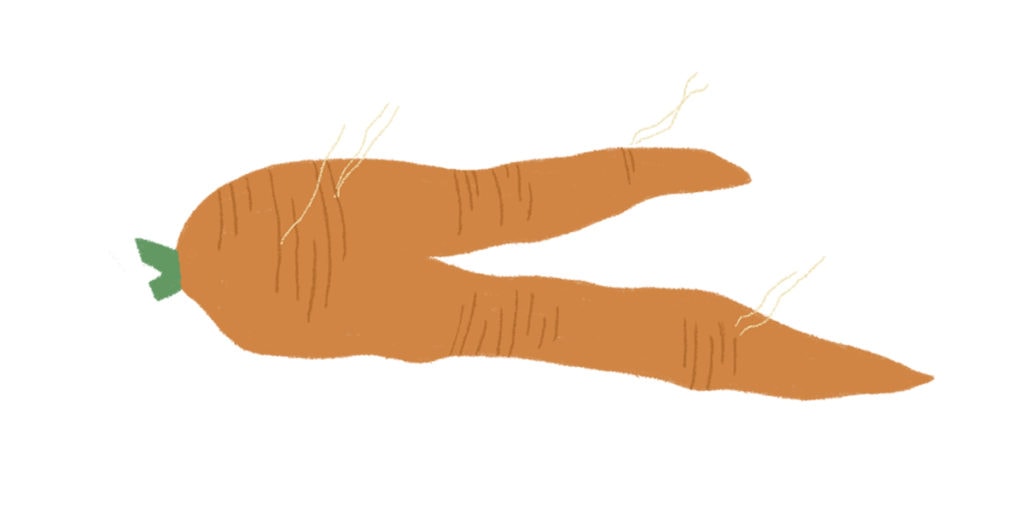 ugly carrot illustration