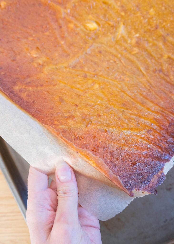 homemade baked fruit leather