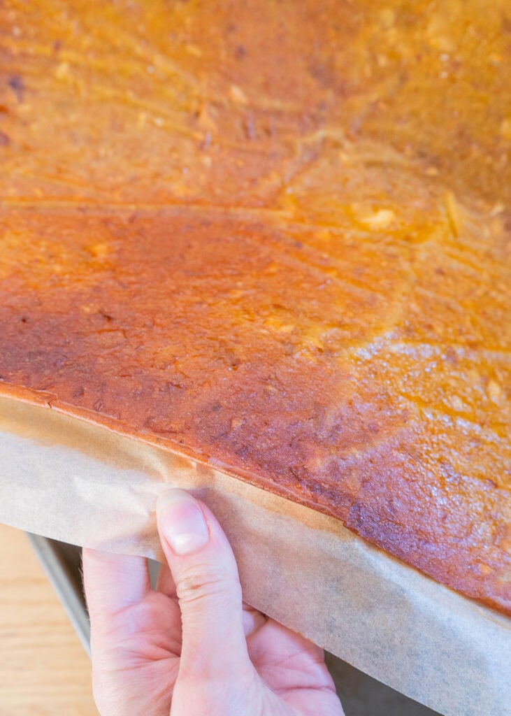 homemade baked fruit leather