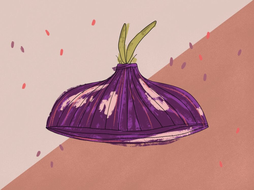 onion growth illustration
