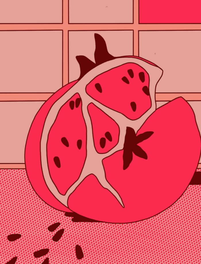 abstract pomegranate illustration