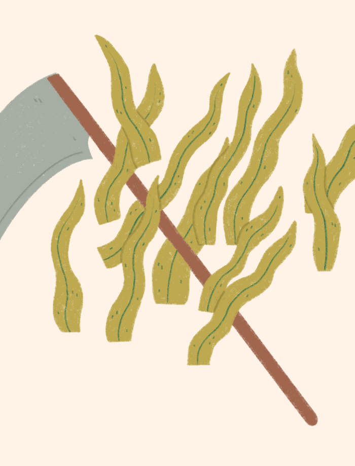farming scythe and grass illustration