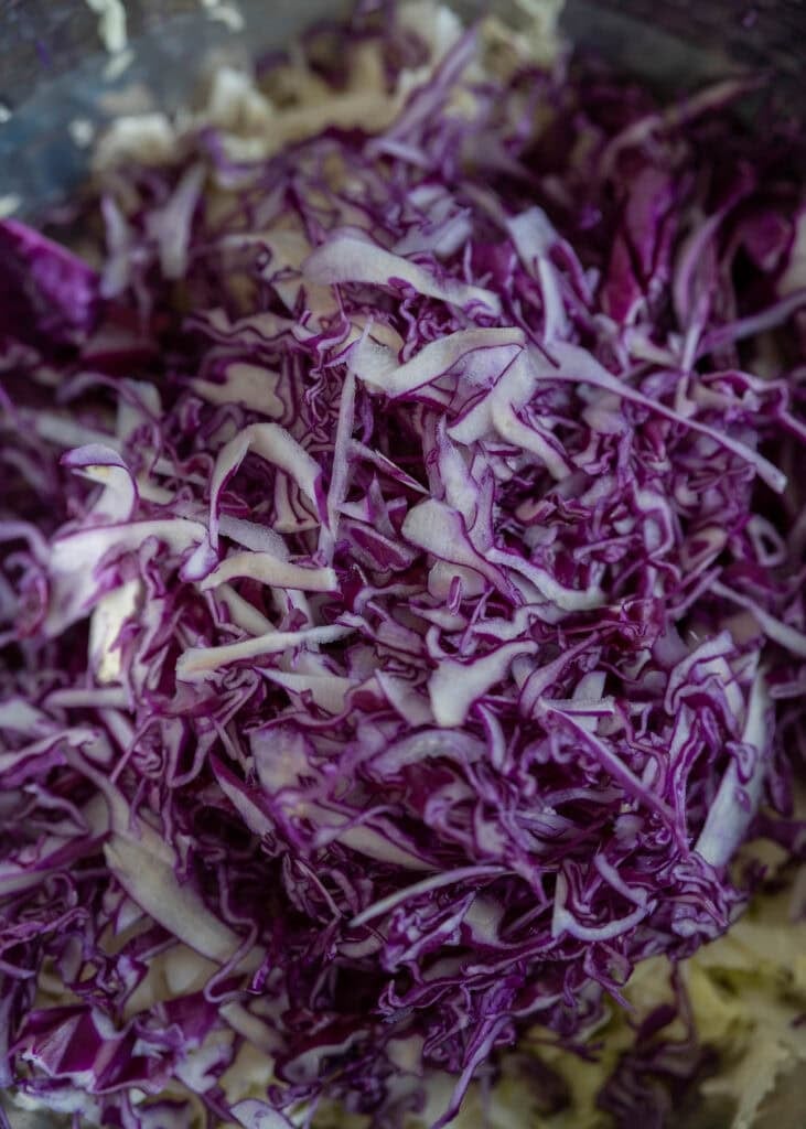 cabbage shreds